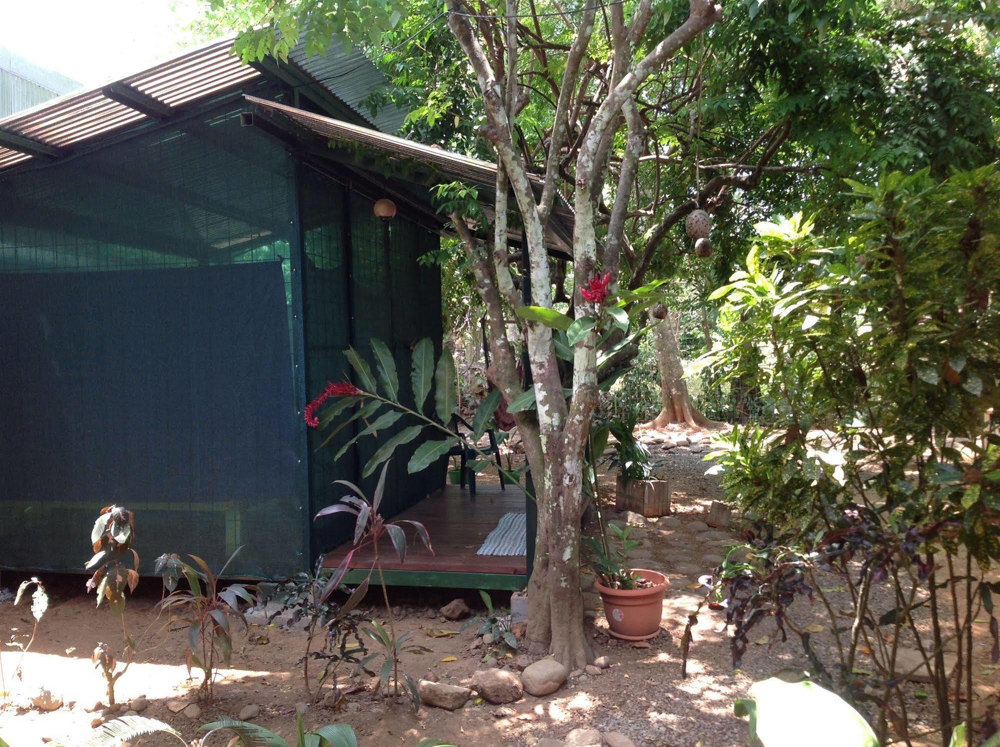 Tucan Hotel Uvita Exteriör bild